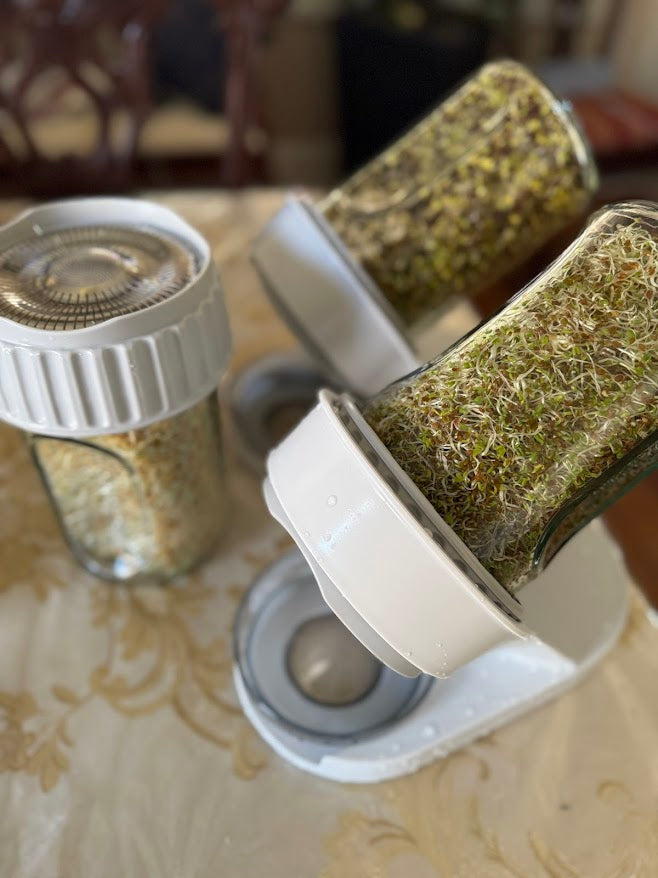 Fermented, Cultured Food