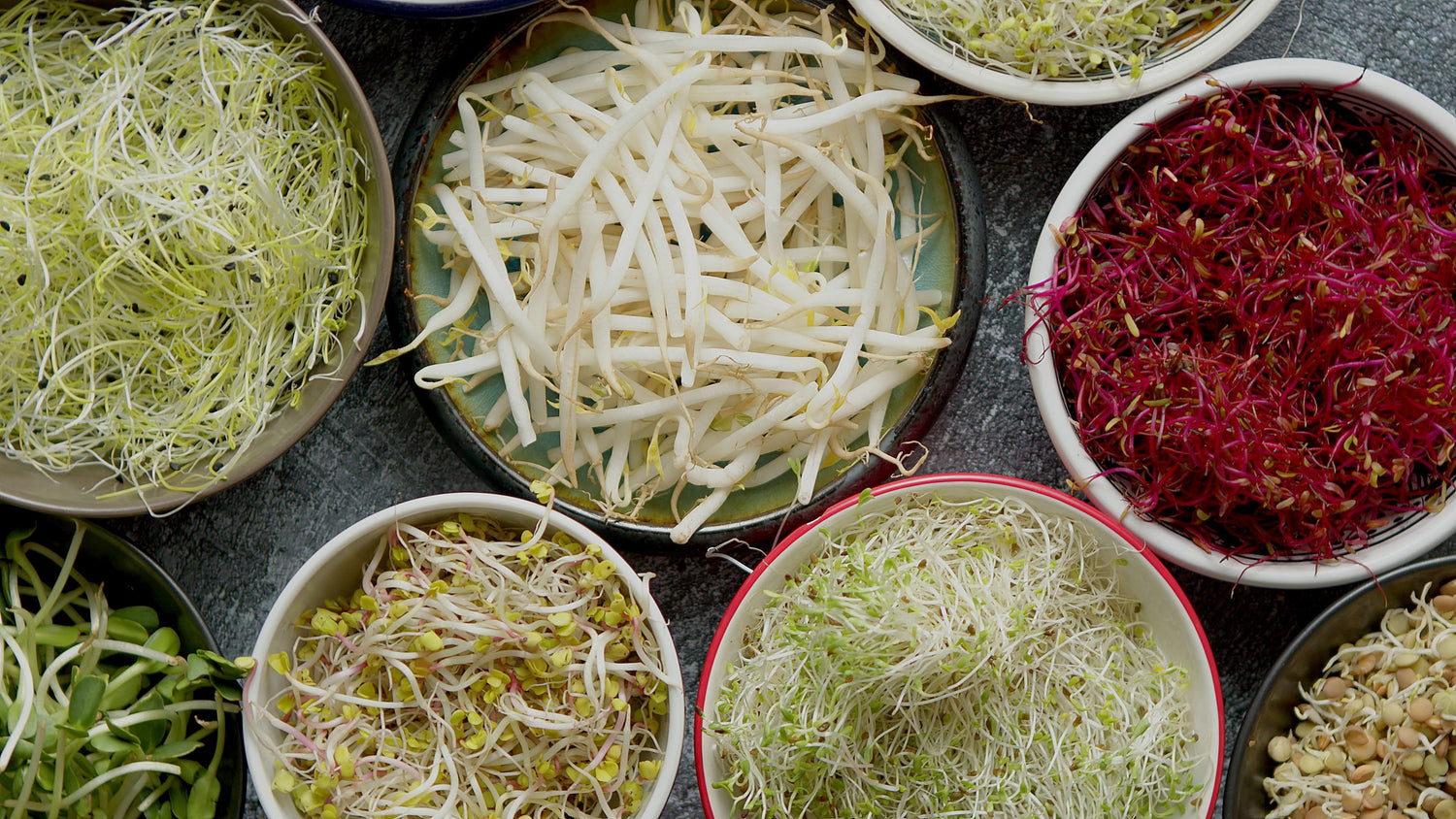 Microgreen and Sprouts